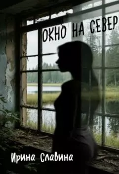Окно на север