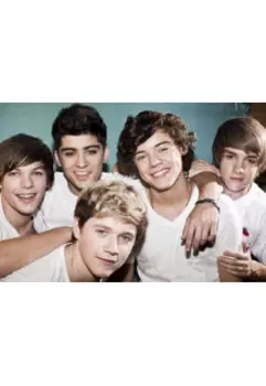 One Direction - секс слава