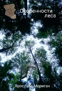 Особенности леса