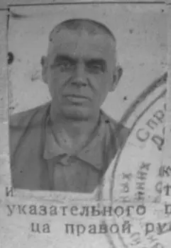 Паутина 1953