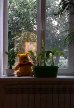 По любви не считается