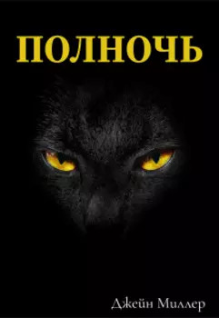 Полночь