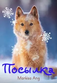 Посылка