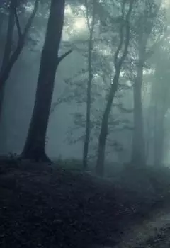 Призрачная реальность