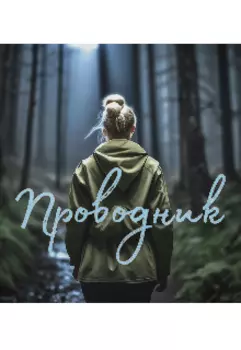 Проводник