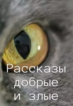 Рассказы добрые и злые (фантастика, 12+)