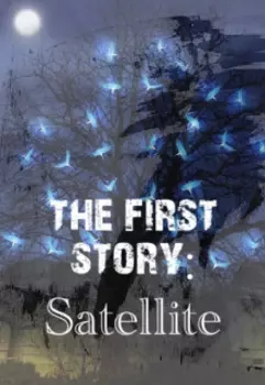 Satellite
