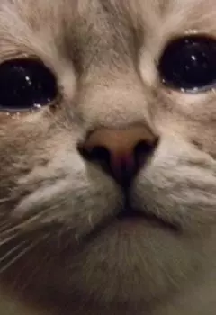 Счастье