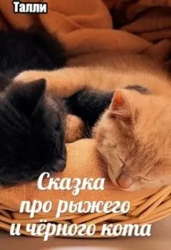 Сказка про рыжего кота и чёрного кота