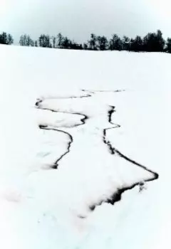 Сон
