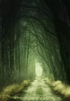 Старая шахта