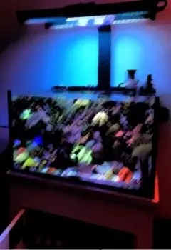 Стас