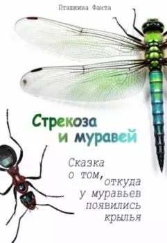 Стрекоза и Муравей