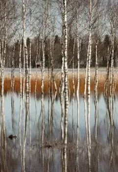 Талая вода