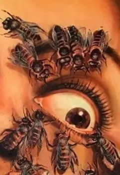 Ульи Иена