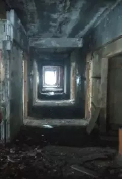 В туман