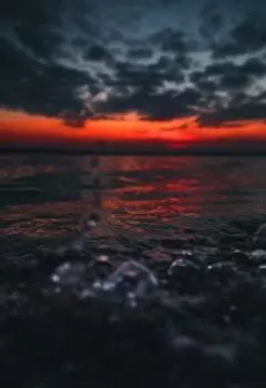 Вестники