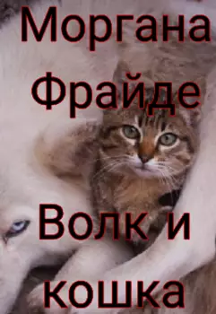 Волк и кошка