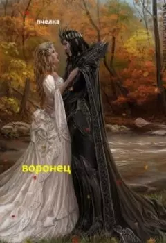Воронец. Сказ 8