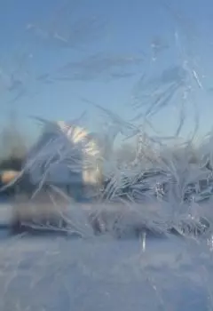 Я система в системе не Я