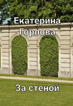 За стеной