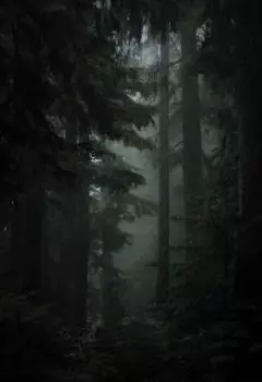 Запретный лес
