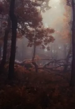 Зеленые холмы