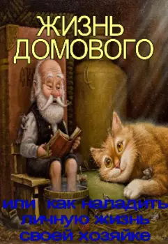 Жизнь домового или как наладить личную жизнь своей хозяйке