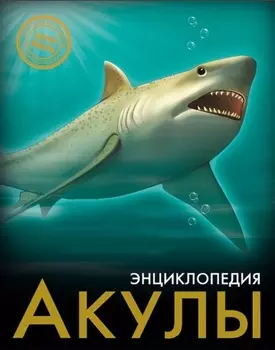 Акулы