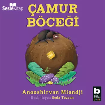 ?amur B?cei