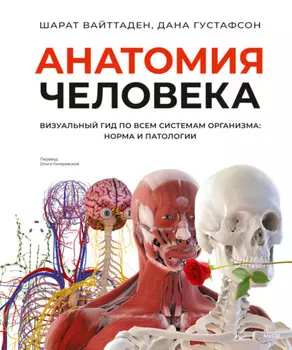Анатомия человека. Визуальный гид по всем системам организма: норма и патологии