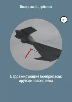 Барражирующие боеприпасы: оружие нового века