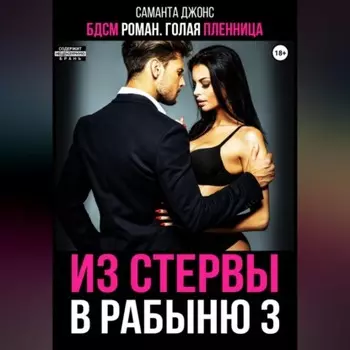 БДСМ роман. Голая пленница. Из стервы в рабыню 3