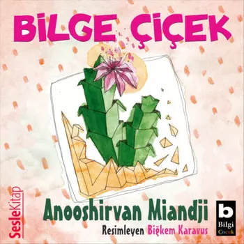 Bilge Ci?ek