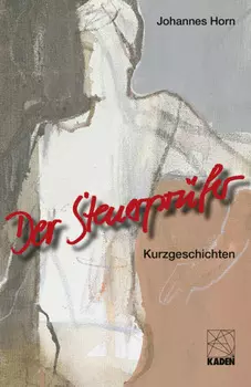 Der Steuerpr?fer
