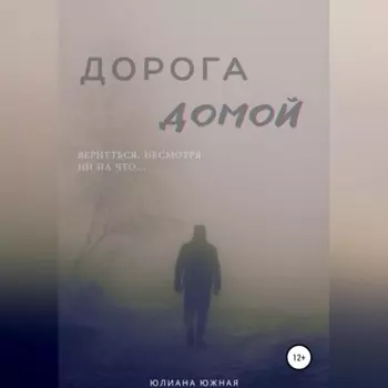 Дорога домой