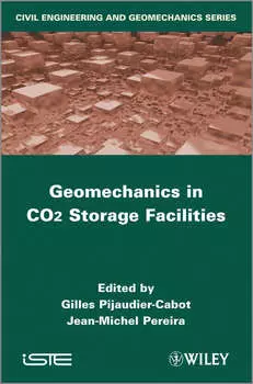 Geomechanics in CO2 Storage Facilities