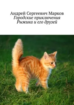 Городские приключения Рыжика и его друзей