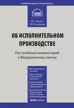 Комментарий к Федеральному закону от 2 октября 2007 г. № 229-ФЗ «Об исполнительном производстве» (постатейный)