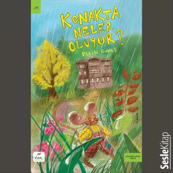 Konakta Neler Oluyor?