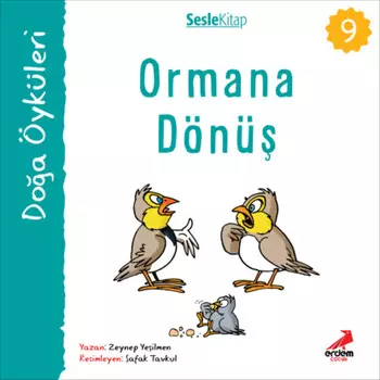 Kr ?yk?leri – Ormana d?n?
