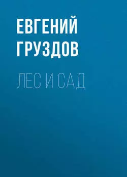Лес и Сад
