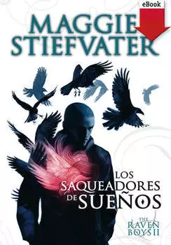 Los saqueadores de sue?os