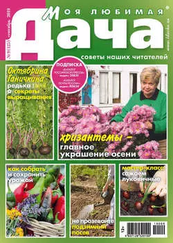Моя любимая дача №09/2019
