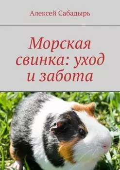 Морская свинка: уход и забота