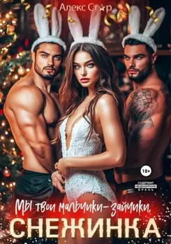 Мы твои мальчики-зайчики, Снежинка