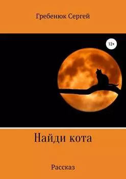 Найди кота