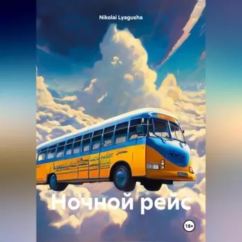НОЧНОЙ РЕЙС