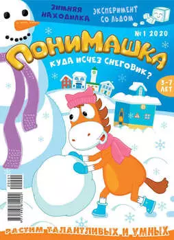 ПониМашка №01/2020
