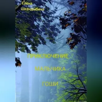 Приключение мальчика Гоши